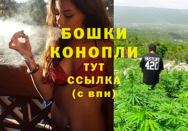 МДПВ Бронницы