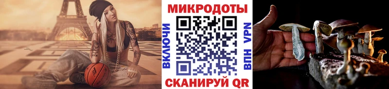 Псилоцибиновые грибы ЛСД  Купить закладки  Красноперекопск 