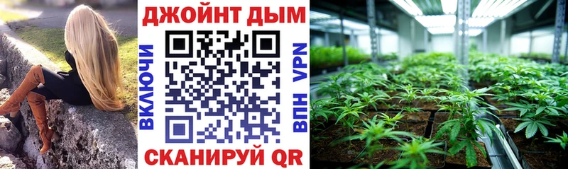 Бошки марихуана сатива Купить где Красноперекопск